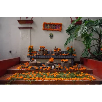 Natural Marigold Plants